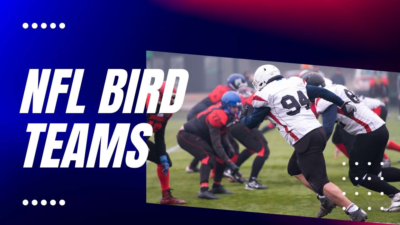 NFL Bird Teams