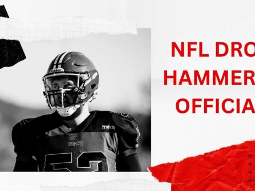 nfl drops hammer on officials